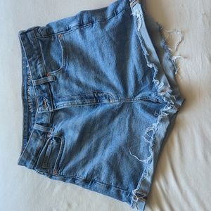 American eagle size 10 mom shorts
